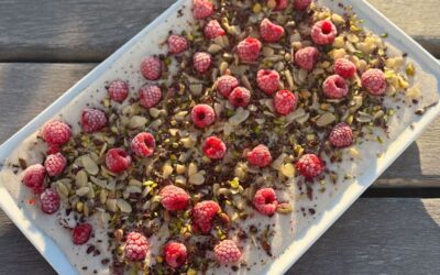 Yoghurt Bark by Mira Weiner